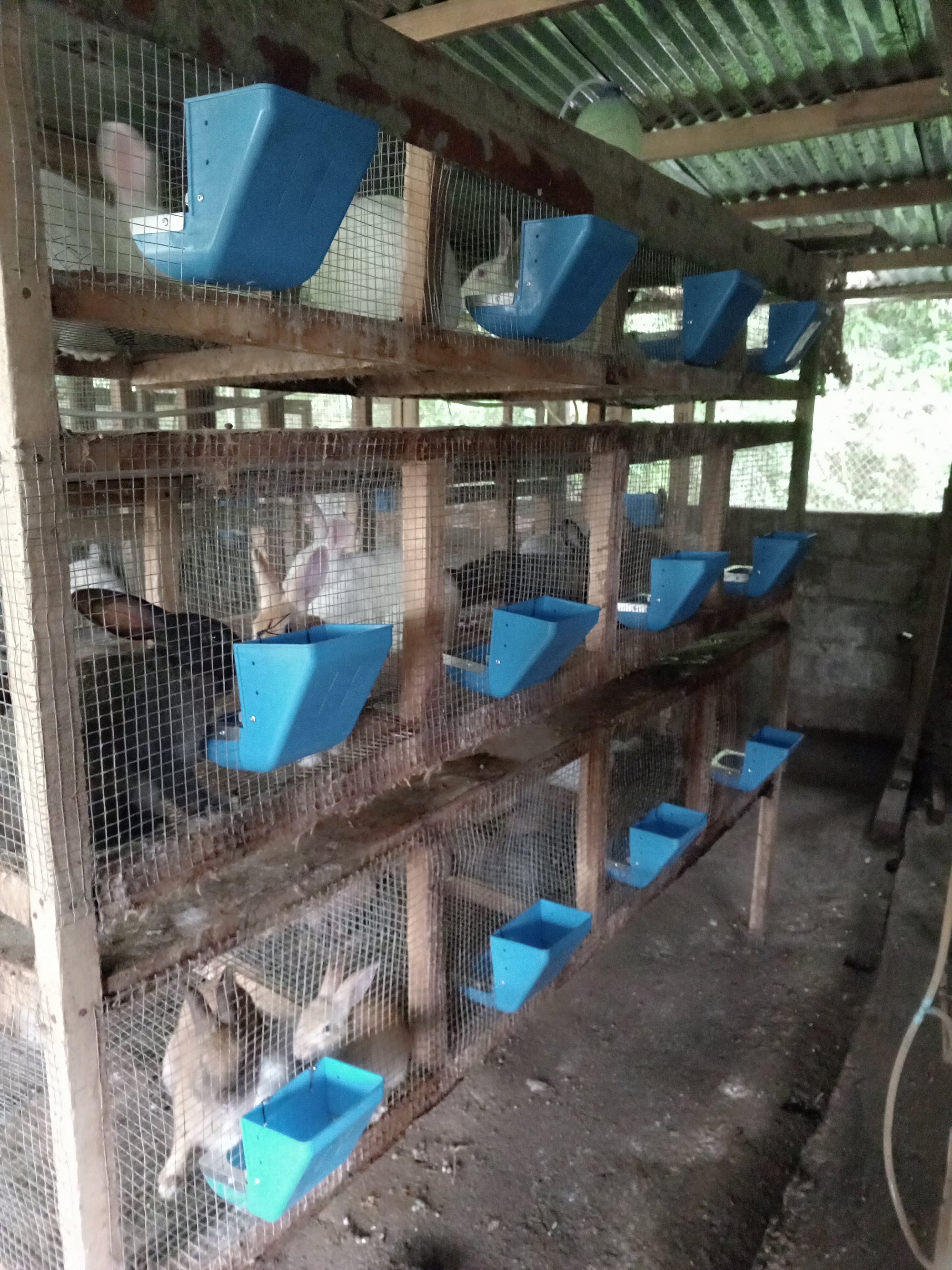 mangeoire anti gaspillage pour lapin