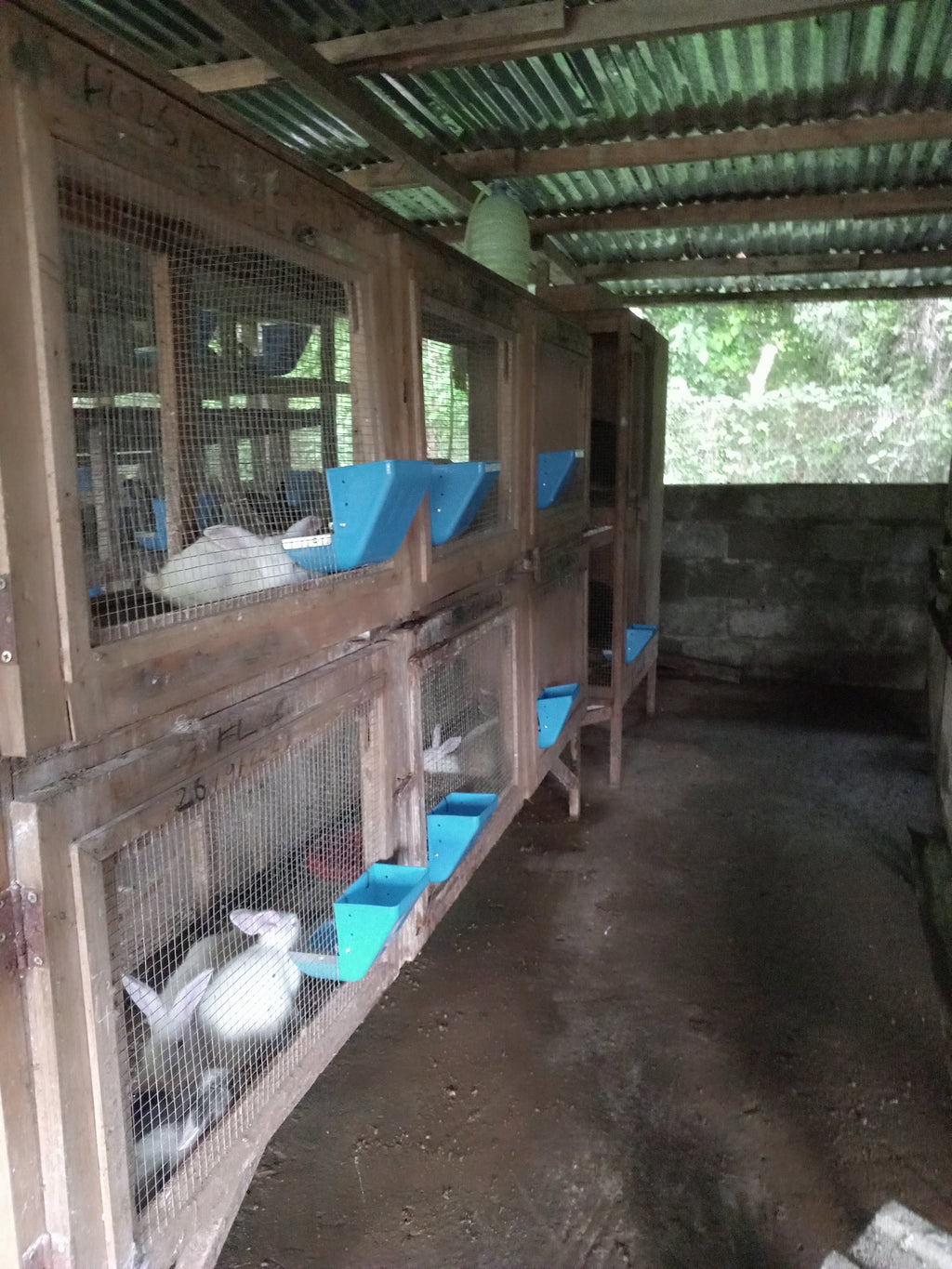 mangeoire anti gaspillage pour lapin