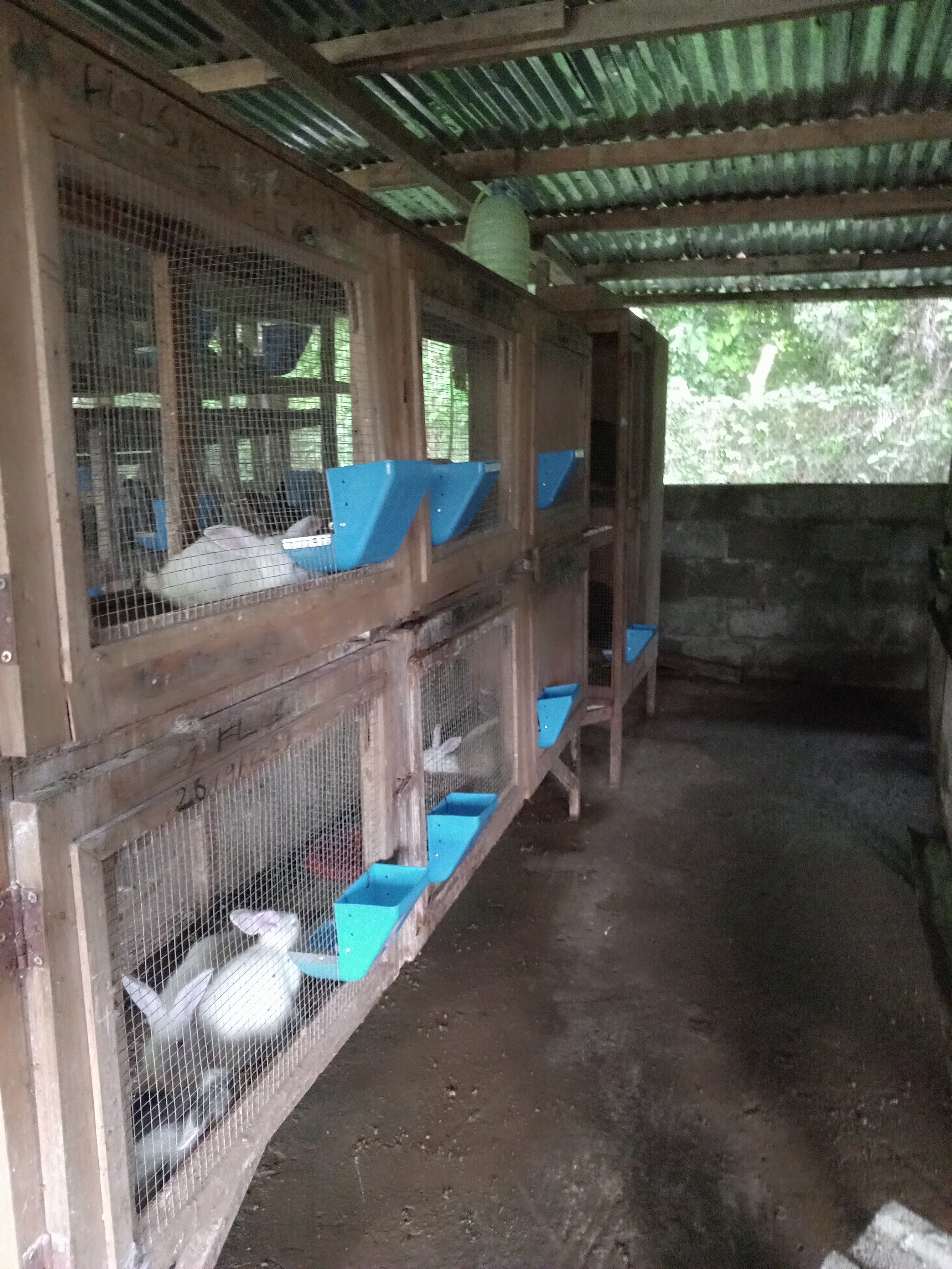 mangeoire anti gaspillage pour lapin