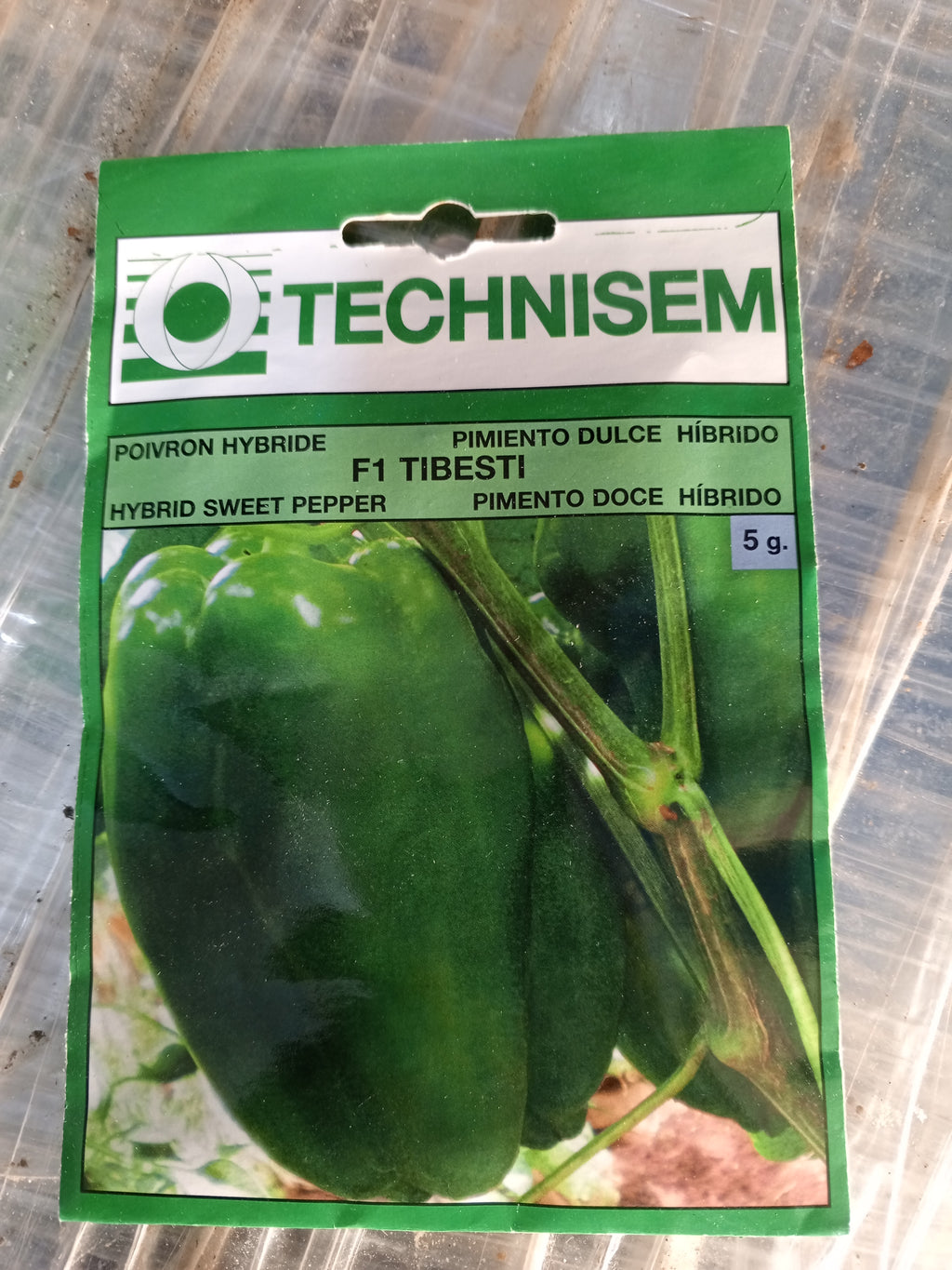 poivron bio SEM