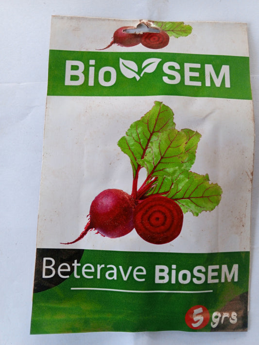 betterave