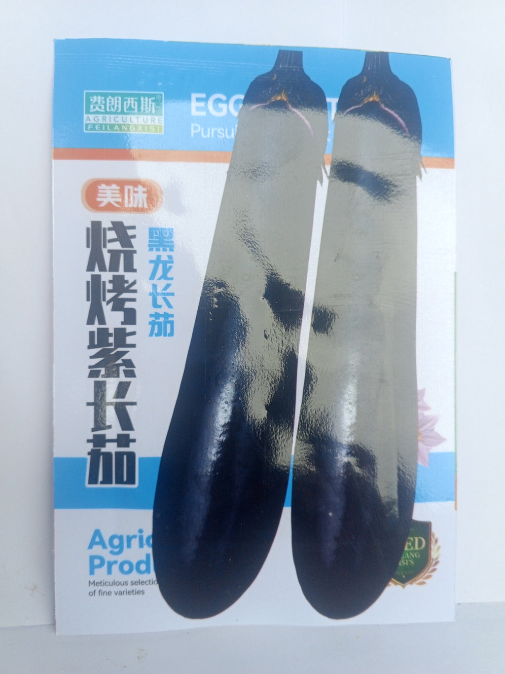 semence aubergine violet