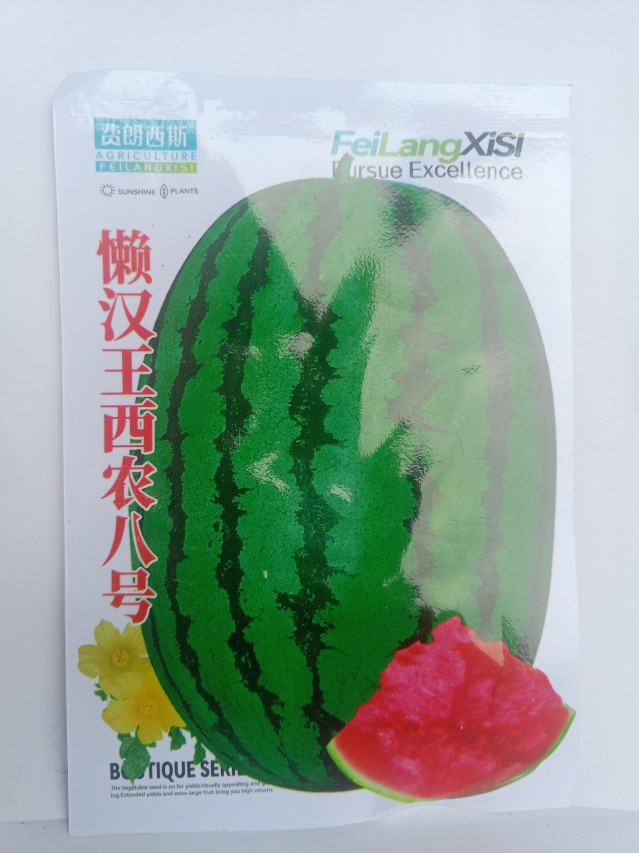 semence de pastèque