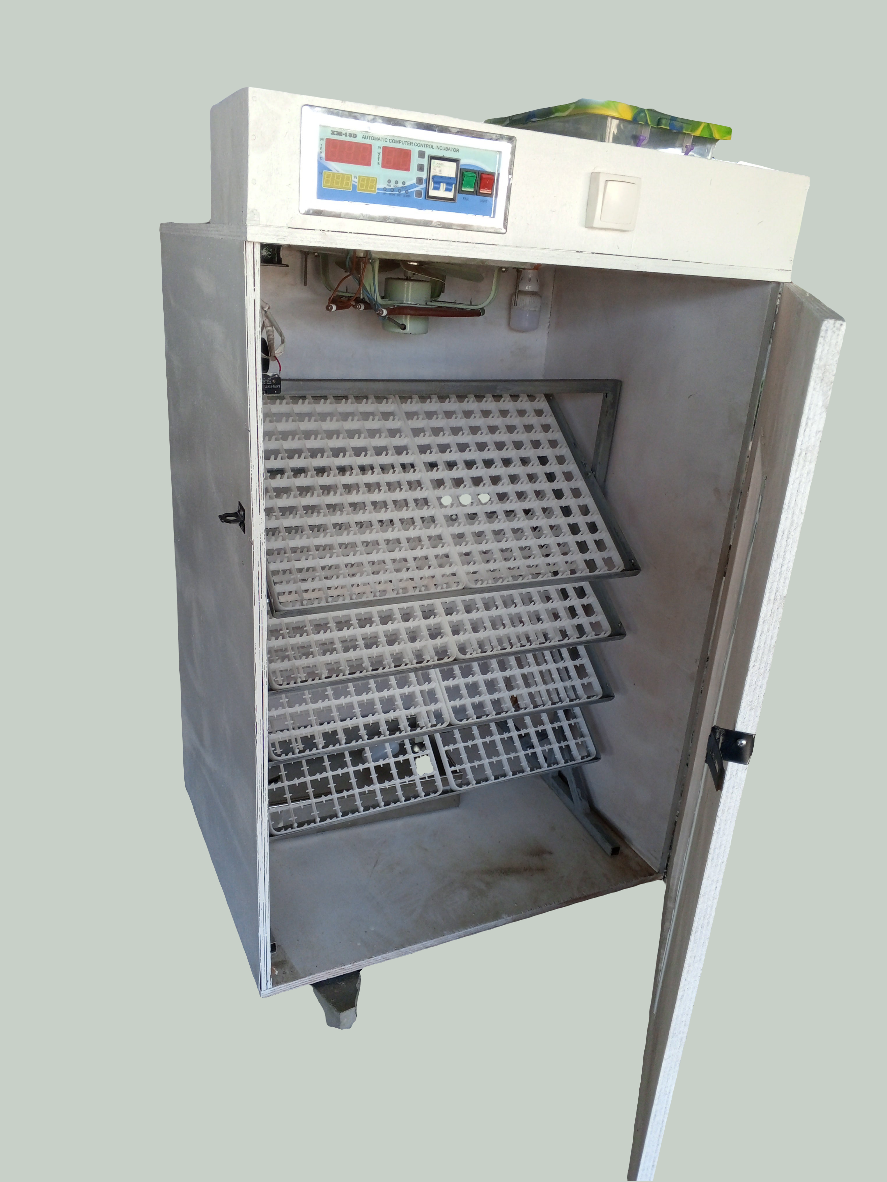 Incubateur 704 oeufs