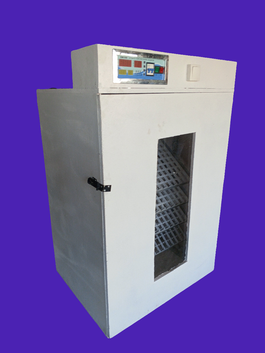 Incubateur 704 oeufs
