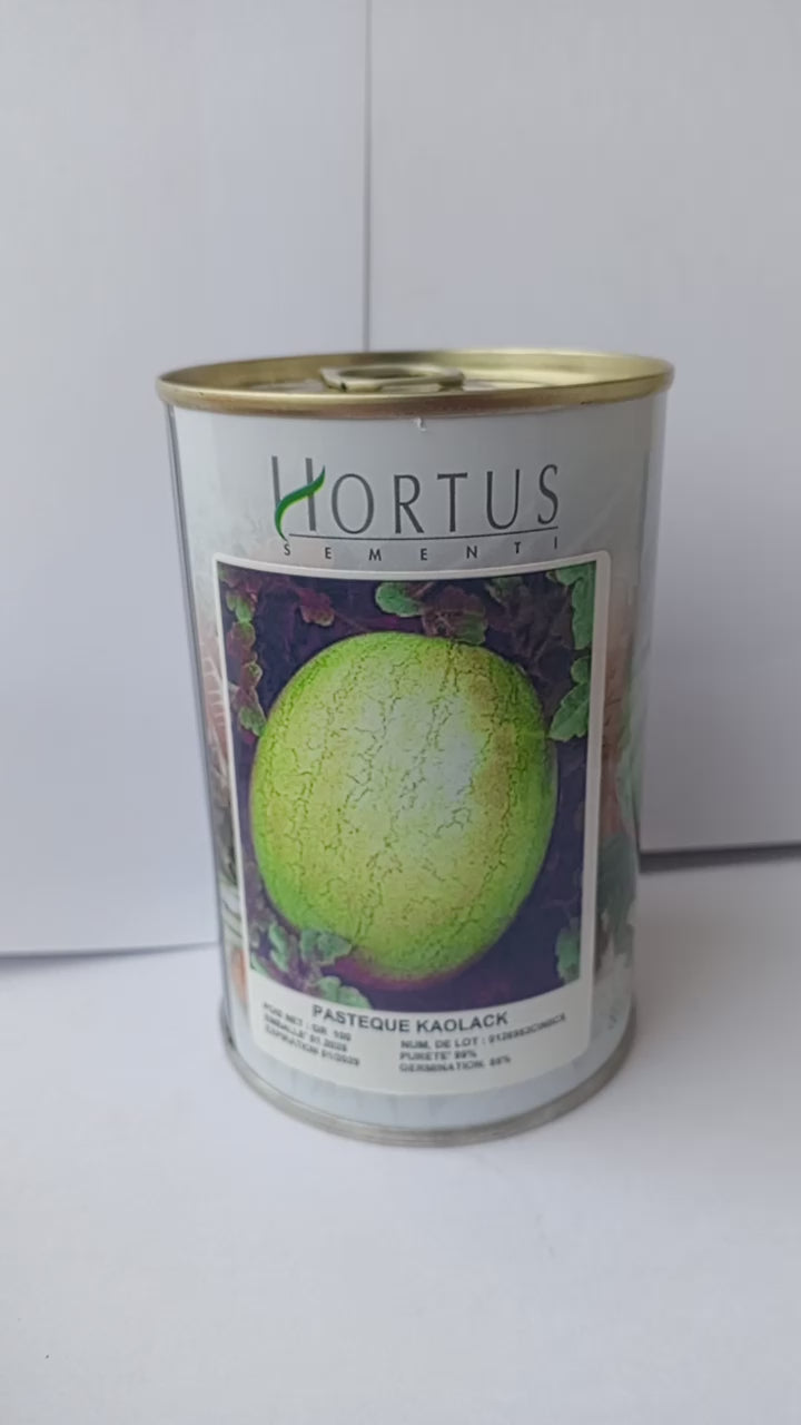 Semences en boîte
