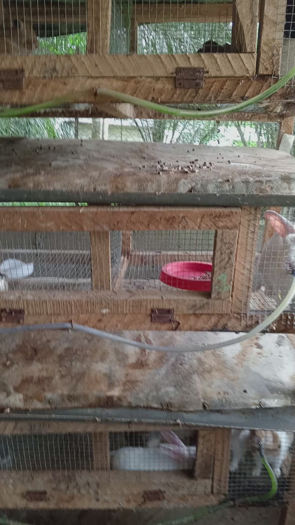 mangeoire anti gaspillage pour lapin