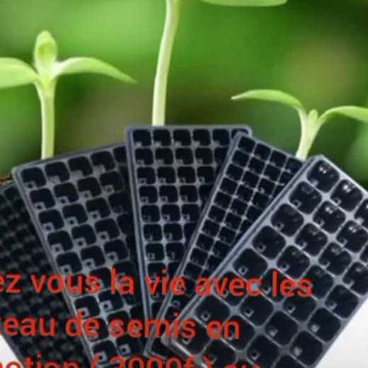 plateaux de semis pratique