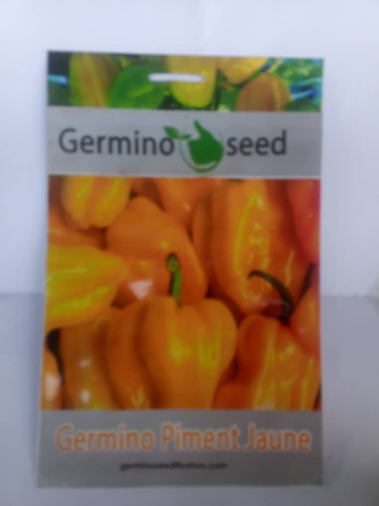 Semences Bio