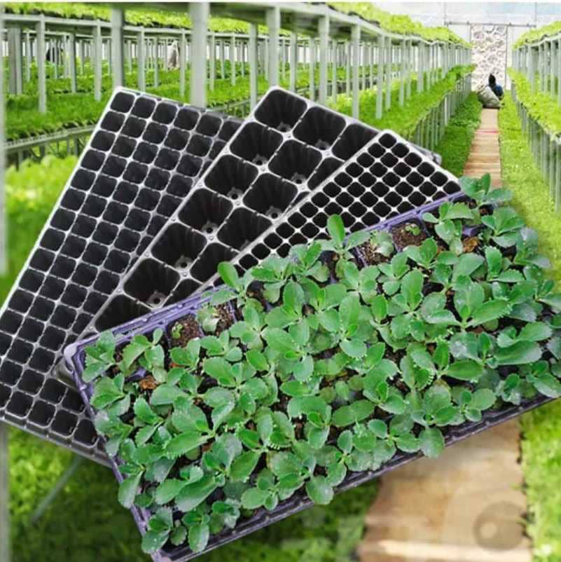 plateaux de germination 50 alvéoles