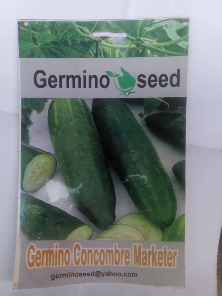 Semences Bio