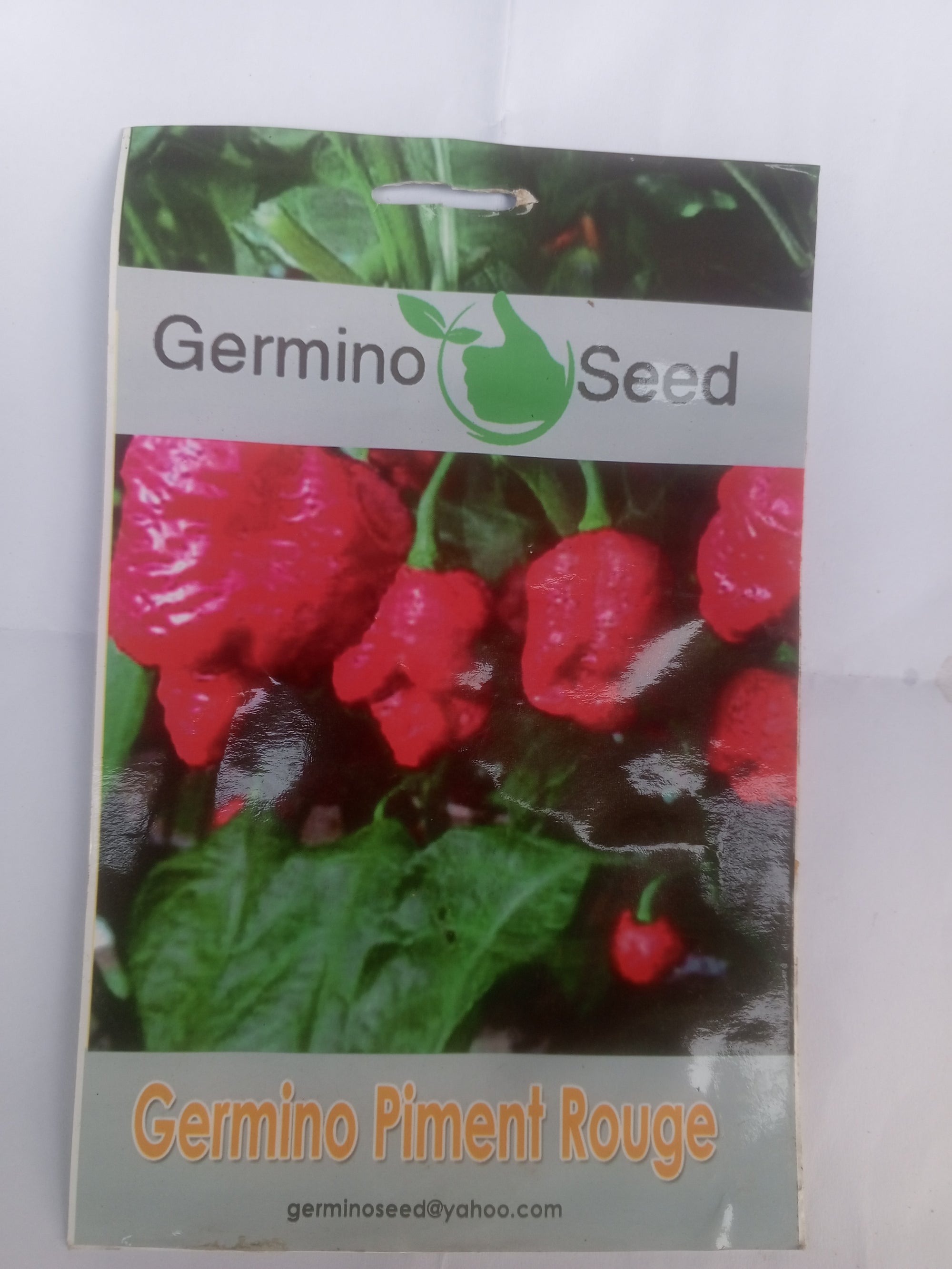 Semences Bio