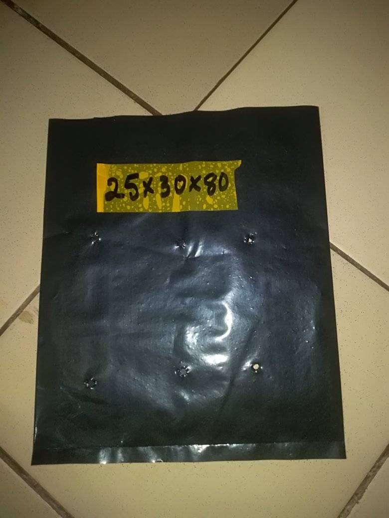Sachets pépinière