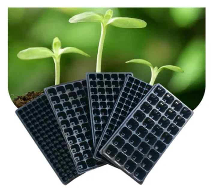plateaux de germination 21 alvéoles