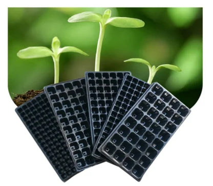 plateaux de germination 21 alvéoles