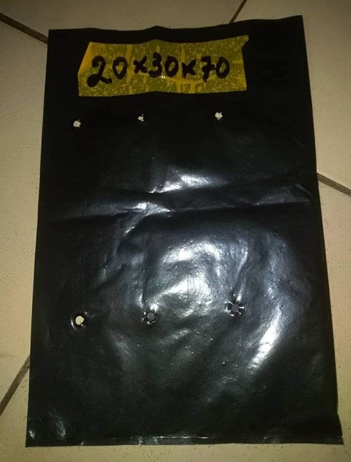 Sachets pépinière