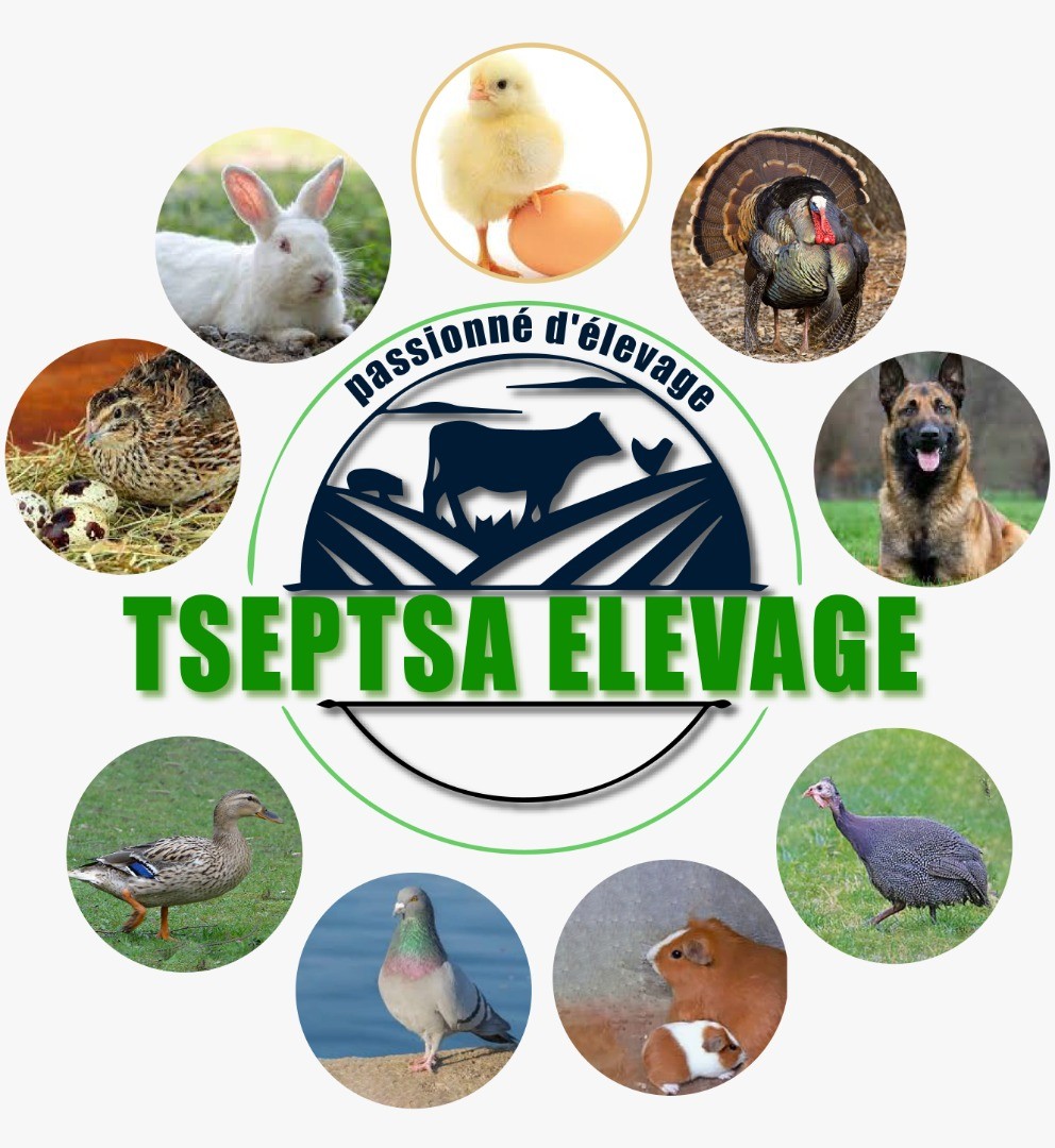 Tseptsa Elevage Agriculture